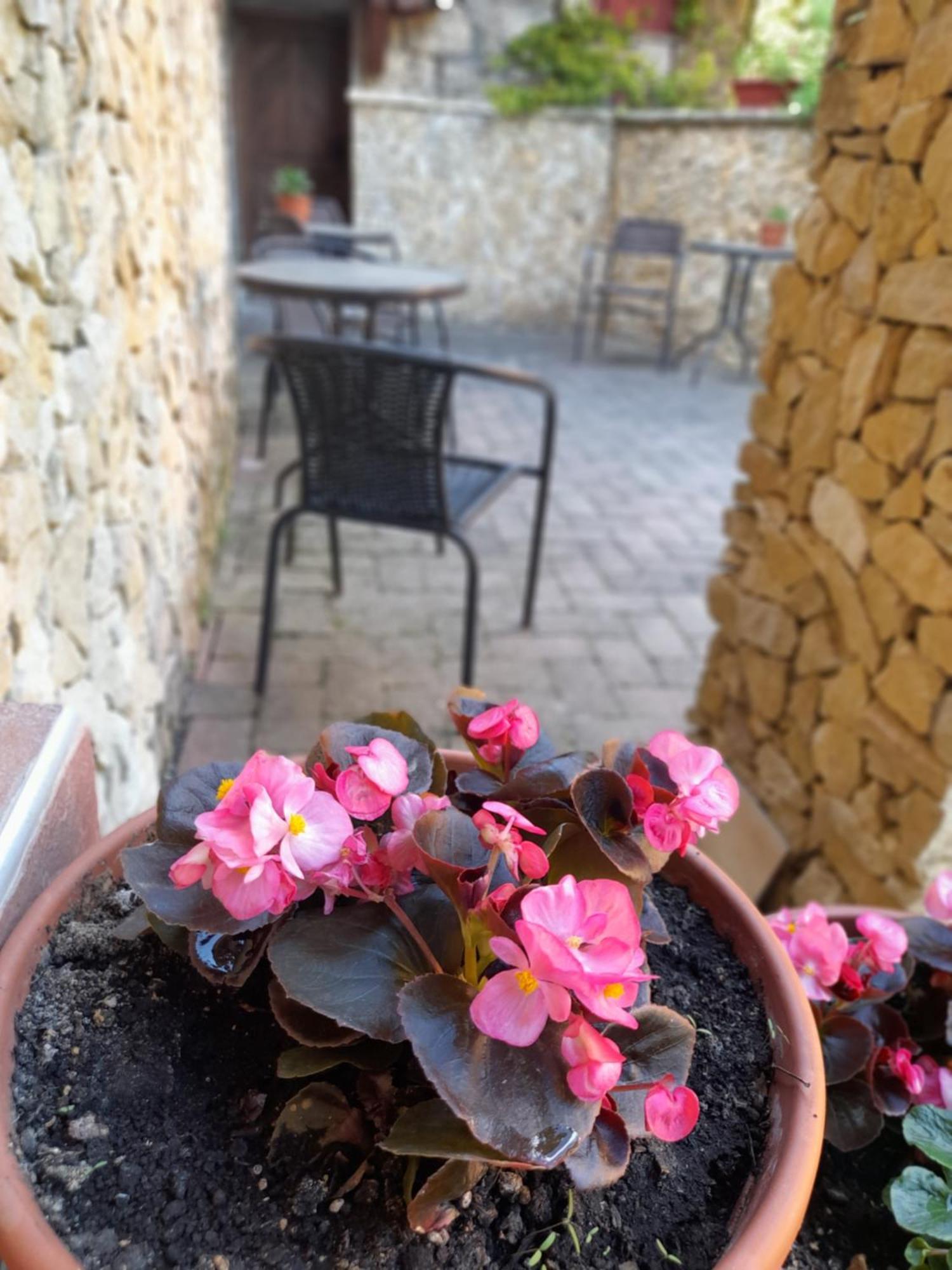 Harmonia Wellness Villa Szilvásvárad Екстериор снимка