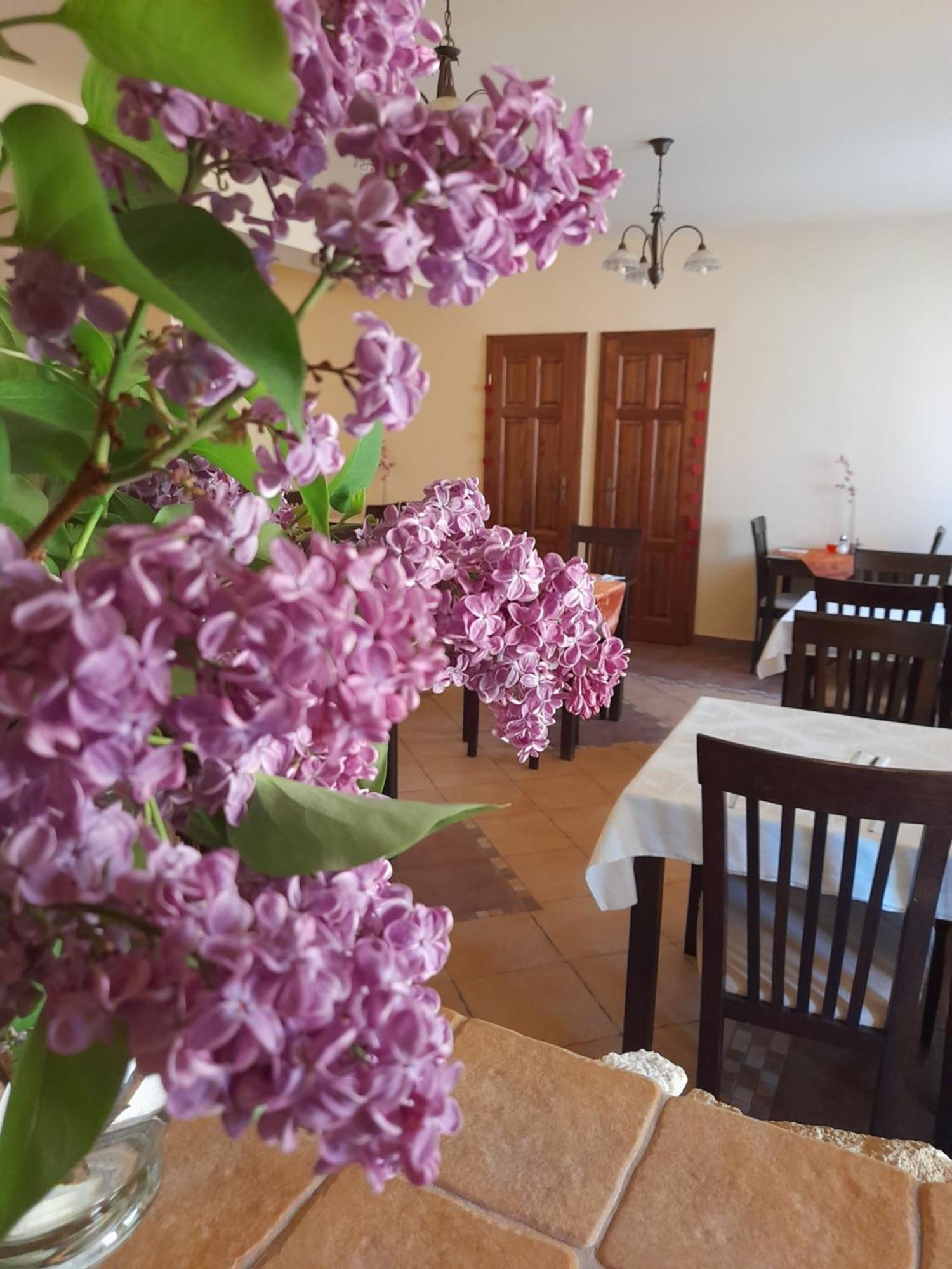 Harmonia Wellness Villa Szilvásvárad Екстериор снимка